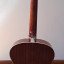 Guitarra Resonadora