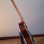 Guitarra Resonadora