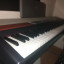 Korg SP 250