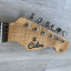 Cidre Stratocaster Coral Pink relic(reservada)