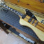 Cambio firebird de luthier