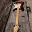 Fender Stratocaster American Professional 3TS MN
