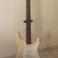 Fender Stratocaster Hard Tail (Cuerpo USA 75)