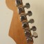 Fender Stratocaster Hard Tail (Cuerpo USA 75)