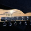 Fender Telecaster thinline deluxe 72