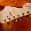 Fender Stratocaster Dick Dale Custom Shop