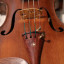 Violin Hopf