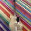 Guitarra Yamaha Revstar RS502TFMX