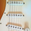 Cambio Cuerpo Stratocaster MJT Wildwood