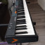 REBAJADÍSIMO!! Studiologic Numa Compact 2x A ESTRENAR