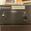 Whitestone P331 amplificador de válvula