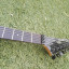 Guitarra Eléctrica VIG Screech