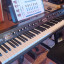 Korg Sv1 de 88 teclas