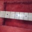 OFERTA Fender Stratocaster Eric Clapton (gastos envio no  incluidos) NO CAMBIOS RESERVADA