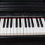 Kurzweil Digital Piano MK II