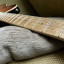 Music Man Axis Super Sport