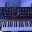 Behringer Poly D - clone de Moog Minimoog (reservado)