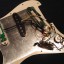 Golpeador completo Stratocaster Dimarzio/Fender /S.Duncan