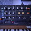 Behringer Poly D - clone de Moog Minimoog (reservado)