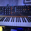 Behringer Poly D - clone de Moog Minimoog (reservado)