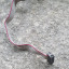 cabale adaptador eurorack o coast strega