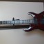 Vendo Schecter Hellraiser