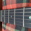 Jazz Archtop ELFERINK 2005 (tapa 1975) Cambio por Gibson 339, PRS o Suhr