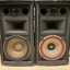 Altavoces CERWIN VEGA PROSTAX PS12