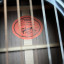 Gibson Custom Dave Mustaine Songwritter