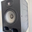 Focal alpha 65