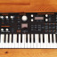 Hydrasynth Explorer en garantia + extras