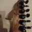 o cambio Charvel Joe Duplantier (gojira)