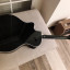 Yamaha apx 500 y ampli fender
