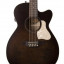 Guitarra 12 strings Art and Lutherie Legacy