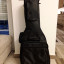 Yamaha apx 500 y ampli fender