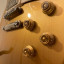 Gibson Les Paul Standard '50s, Gold Top!