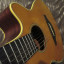 Guitarra acústica Takamine