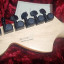 Fender Stratocaster Jim Root Usa