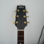 Heritage Custom Shop H575 por Rickenbacker 12 / Jazzmaster / Gibson 335