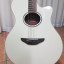 Yamaha APX600 impecable+ funda acolchada.