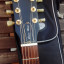 Gibson Les Paul Smartwood Ambay Guasu