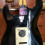 Fender stratocaster mim