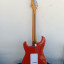 Squier CV 50 strato