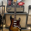 Fender Strarocaster Stevie Ray Vaughan signature Lollar Blackface (VIDEOS)