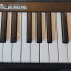 Alesis v25
