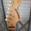 Fender Stratocaster Starcaster