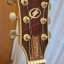 Vendo Ibanez AS 103 Custom NT _Reservada...