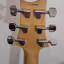 PRS CE 24 Semihollow