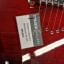 Guitarra Washburn RX 22F