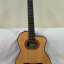 Takamine TH-90 Hirade.